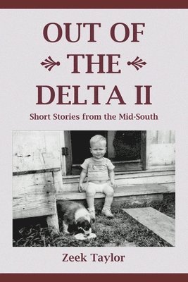 Zeek E. Taylor - Out of the Delta II: Short Stories from the Mid-South, Häftad