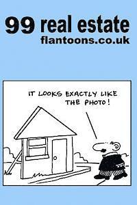 bokomslag 99 real estate flantoons.co.uk: 99 great and funny cartoons about property