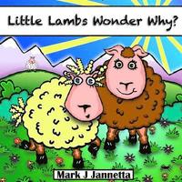 bokomslag Little Lambs Wonder Why?