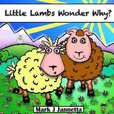 Little Lambs Wonder Why? 1