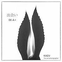Kazu Okutomi - DE-A-i: (Japanese for encounter), Häftad