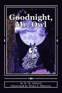 bokomslag Goodnight, Mr. Owl