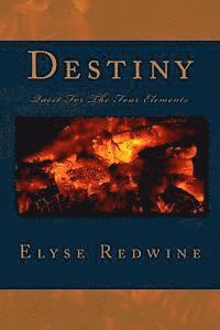 bokomslag Destiny: Quest for The Four Elements