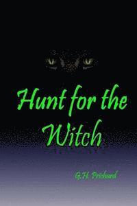 bokomslag Hunt for the Witch