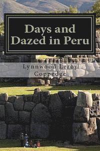 bokomslag Days and Dazed in Peru: A year in the ancient land of the Incas