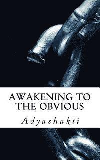 bokomslag Awakening to the Obvious
