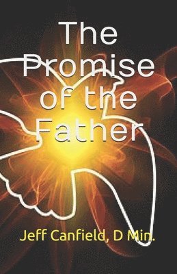 Jeff Canfield D. Min - The Promise of the Father, Häftad