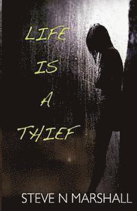 bokomslag Life Is A Thief
