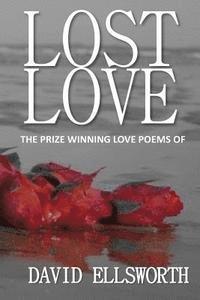 bokomslag Lost Love Poems: Words a woman should hear, not read