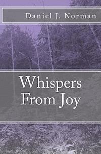 bokomslag Whispers From Joy