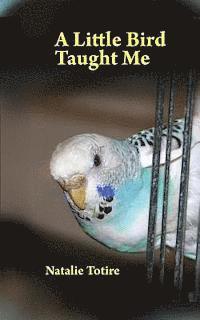 Natalie J. Natalie - A Little Bird Taught Me: Inspirations from a parakeet, Häftad