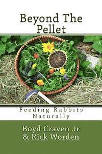 bokomslag Beyond The Pellet: Feeding Rabbits Naturally