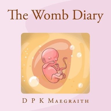 bokomslag Womb Diary