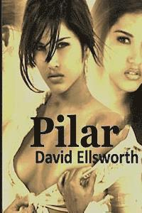 David Ellsworth - Pilar, Häftad