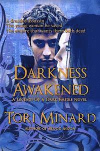 bokomslag Darkness Awakened