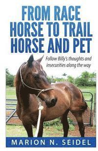 From Race Horse to Trail Horse and Pet 1