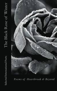 bokomslag The Black Rose of Winter