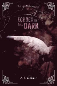 bokomslag Echoes In the Dark: Book Two in the Darkness Series