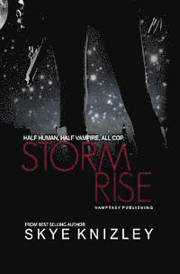 bokomslag Stormrise