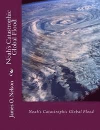 bokomslag Noah's Catastrophic Global Flood: Noah's Catastrophic Global Flood