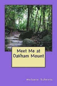bokomslag Meet Me at Oakham Mount