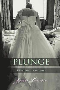 bokomslag Plunge: 13 Poems To My Wife