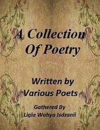 bokomslag A Collection of Poetry: by Various Poets