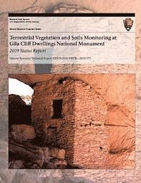 bokomslag Terrestrial Vegetation and Soils Monitoring at Gila Cliff Dwellings National Monument: 2009 Status Report