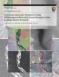 bokomslag Assessing Landscape Dynamics Using Multitemporal Remotely Sensed Imagery in the Sonoran Desert Network