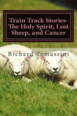 bokomslag Train Track Stories: The Holy Spirit, Lost Sheep, and Cancer