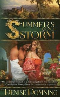 bokomslag Summer's Storm