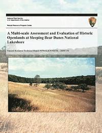 bokomslag A Multi-scale Assessment and Evaluation of Historic Openlands at Sleeping Bear Dunes National Lakeshore