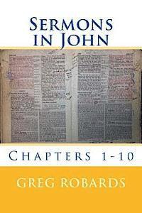 bokomslag Sermons in John: Chapters 1-10