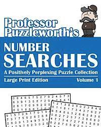Puzzleworth - Professor Puzzleworth's Number Searches: A Positively Perplexing Puzzle Collection - Large Print, Häftad