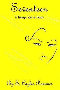 bokomslag Seventeen: A Teenage Soul in Poetry