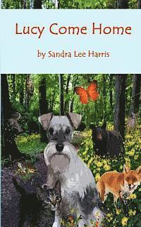 bokomslag Lucy Come Home: A Dog's Spiritual Journey through an Enchanted Forest