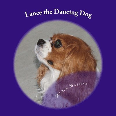 Lance the Dancing Dog 1