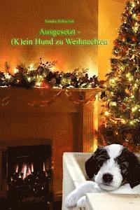 bokomslag Ausgesetzt - (K)ein Hund zu Weihnachten