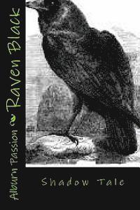 bokomslag Raven Black