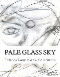 bokomslag Pale Glass Sky