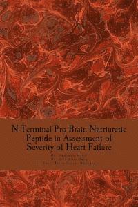 bokomslag N-Terminal Pro Brain Natriuretic Peptide in Assessment of Severity of Heart Failure