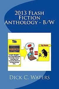bokomslag 2013 Flash Fiction Anthology - B/W: 41 "One Minute Reads"