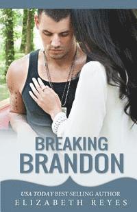 bokomslag Breaking Brandon