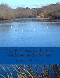 bokomslag Gross Production and Evolution.A Primer: Vol.2.The Role of Transient spp.