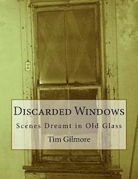 Discarded Windows: Scenes Dreamt in Old Glass 1