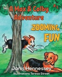 bokomslag Zooming Fun: A Max & Colby Adventure