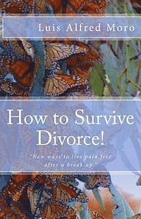 bokomslag How to Survive Divorce!: New ways to live pain free after a break up.