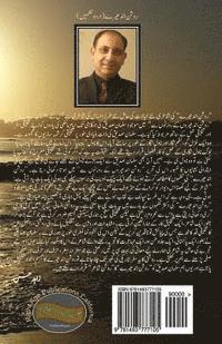 bokomslag Roshan Andherey: Urdu Poems