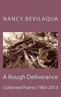 bokomslag A Rough Deliverance: Collected Poems 1983-2013