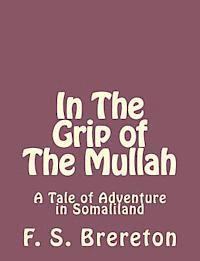 bokomslag In The Grip of The Mullah: A Tale of Adventure in Somaliland